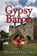 Gypsy Baron, DAHEIM,  Mary - Paperback - 9781603813716
