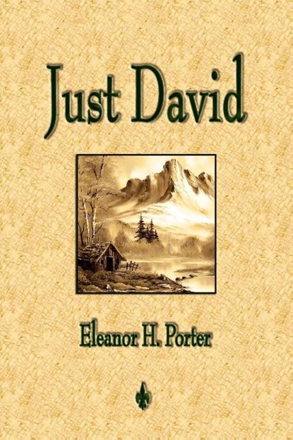 Just David, Eleanor H Porter - Paperback - 9781603863285