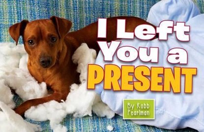 I Left You a Present, Robb Pearlman - Gebonden - 9781604336085