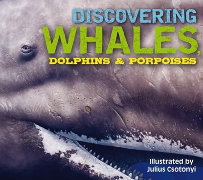 Discovering Whales, Dolphins and   Porpoises, Kelly Gauthier - Gebonden - 9781604339611