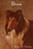 Bruce, TERHUNE,  Albert Payson - Paperback - 9781604445350