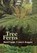 Tree Ferns, John E. Braggins ; Mark F. Large - Paperback - 9781604691764