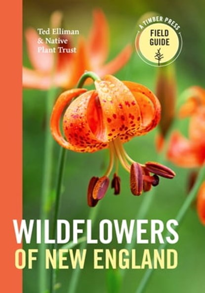 Wildflowers of New England, Ted Elliman ; Native Plant Trust - Ebook - 9781604697407