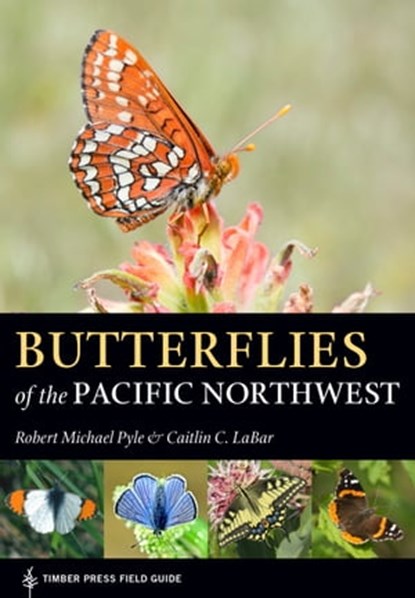 Butterflies of the Pacific Northwest, Robert Michael Pyle ; Caitlin C. LaBar - Ebook - 9781604698619
