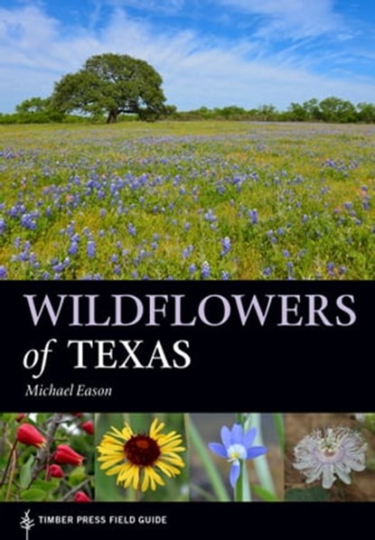 Wildflowers of Texas, Michael Eason - Ebook - 9781604698626