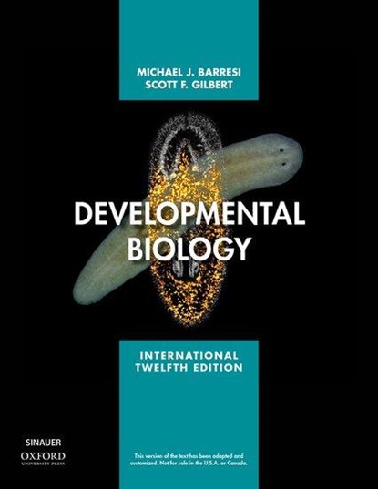 Developmental Biology, Michael J.F. (Professor of Biological Sciences Barresi ; Scott F. (Howard A. Schneiderman Professor of Biology Emeritus Gilbert - Paperback - 9781605358741