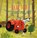 Little Tractor and the Christmas Tree, Natalie Quintart - Gebonden - 9781605377889