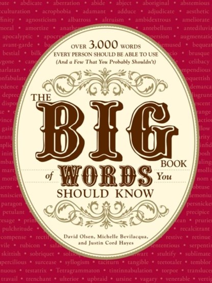 The Big Book of Words You Should Know, David Olsen ; Michelle Bevilacqua ; Justin Cord Hayes - Paperback - 9781605501390