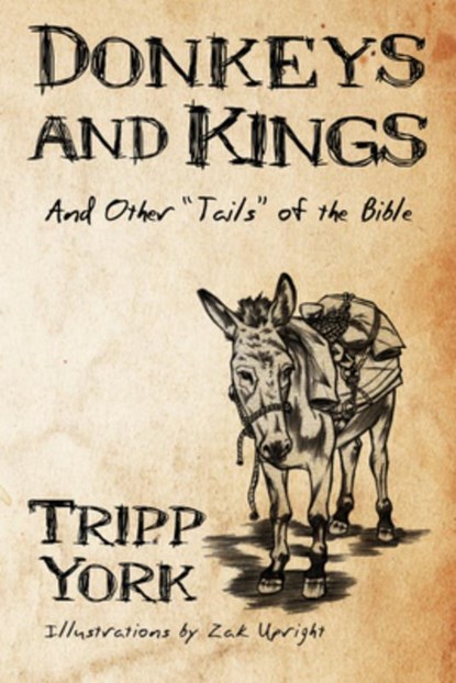 Donkeys and Kings, Tripp York - Paperback - 9781606089408