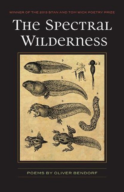 The Spectral Wilderness, Oliver Bendorf - Paperback - 9781606352113
