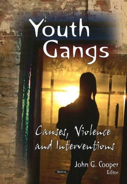 Youth Gangs, niet bekend - Paperback - 9781606925478