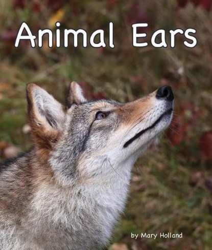 Animal Ears, HOLLAND,  Mary - Gebonden - 9781607184478