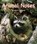 Animal Noses, Mary Holland - Paperback - 9781607188063