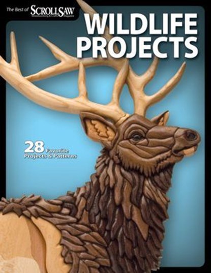 Wildlife Projects, Lora S. Irish ; John A. Nelson ; Gary Browning ; Neal Moore ; Kathy Wise ; Charles Dearing ; Tom Sevy ; Leldon Maxcy ; Harry Savage ; Terry Foltz ; Ellen Brown ; Theresa Ekdom ; Janette Square ; Kevin Daly ; Tim Rogers ; Deborah Nicholson ; Shannon Flower - Ebook - 9781607654179
