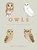 Owls: Our Most Charming Bird, Matt Sewell - Gebonden - 9781607748793