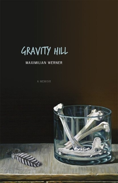 Gravity Hill, Maximilian Werner - Paperback - 9781607812425