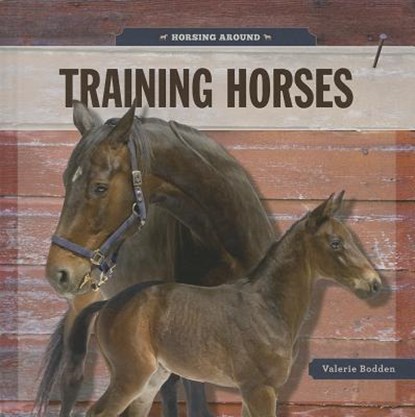 Training Horses, Valerie Bodden - Gebonden - 9781608184736