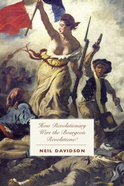 How Revolutionary Were the Bourgeois Revolutions?, Neil Davidson - Ebook - 9781608462650