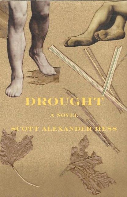Hess, S: Drought, Scott Alexander Hess - Paperback - 9781608643585
