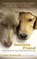 Goodbye, Friend, Gary Kowalski - Paperback - 9781608680863