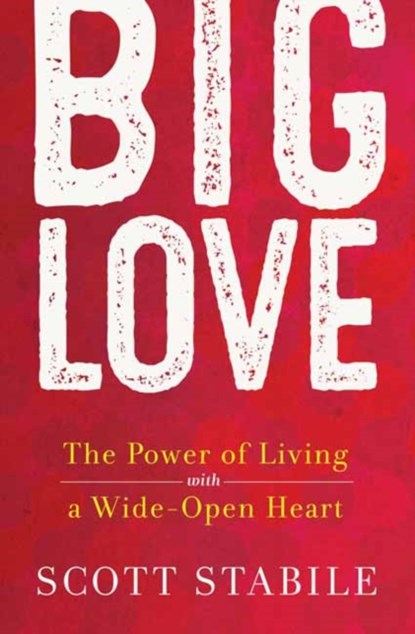 Big Love, Scott Stabile - Gebonden - 9781608684939