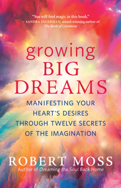 Growing Big Dreams, Robert Moss - Paperback - 9781608687046