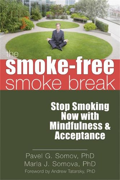 The Smoke-Free Smoke Break, Pavel G. Somov - Paperback - 9781608820016