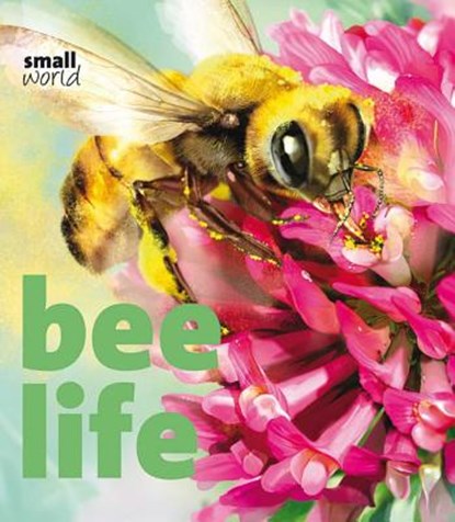 Bee Life, Lynette Evans - Gebonden - 9781608871988