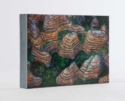Art Wolfe: Extraordinary Earth Blank Boxed Notecards, Art Wolfe - Paperback - 9781608879564