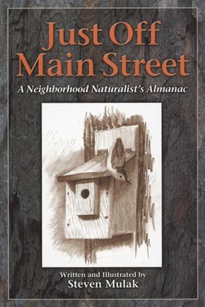 Just Off Main Street, Steven Mulak - Ebook - 9781608930845
