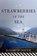Strawberries in the Sea, Elisabeth Ogilvie - Paperback - 9781608933358