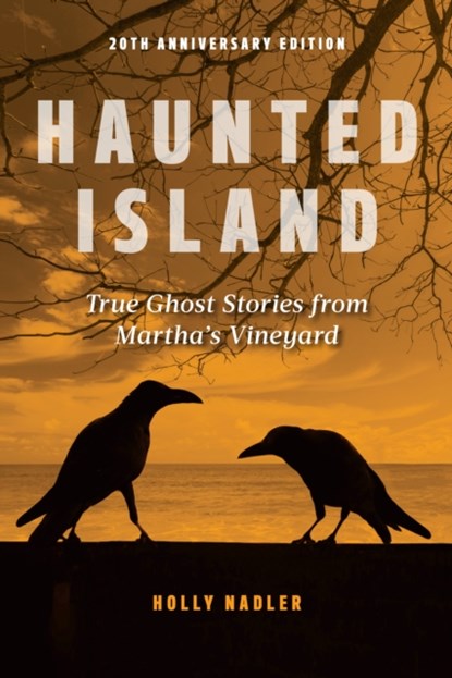 Haunted Island, Holly Nadler - Paperback - 9781608933525