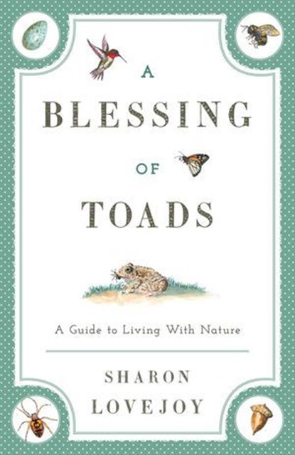 A Blessing of Toads, Sharon Lovejoy - Ebook - 9781608933600
