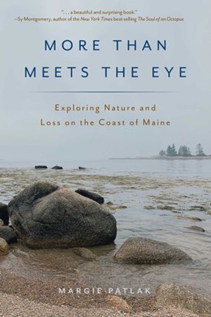 More Than Meets the Eye, Margie Patlak - Ebook - 9781608937547