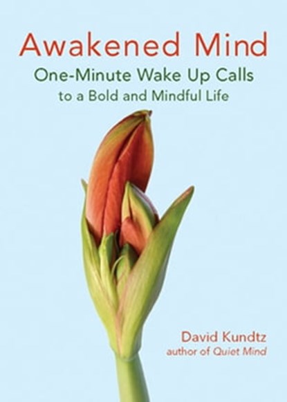 Awakened Mind, David Kundtz - Ebook - 9781609252175