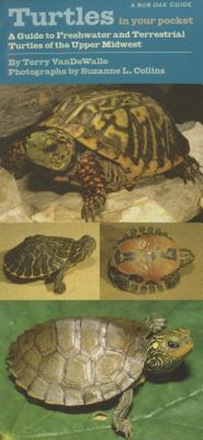 Turtles in Your Pocket: A Guide to Freshwater and Terrestrial Turtles of the Upper Midwest, Terry Vandewalle - Gebonden - 9781609380618