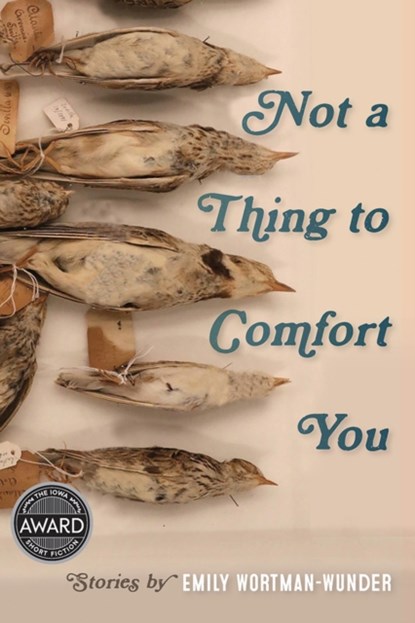 Not a Thing to Comfort You, Emily Wortman-Wunder - Paperback - 9781609386818
