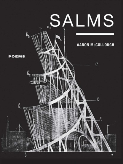 Salms, Aaron McCollough - Paperback - 9781609389833
