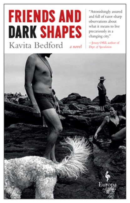 FRIENDS & DARK SHAPES, Kavita Bedford - Paperback - 9781609456641