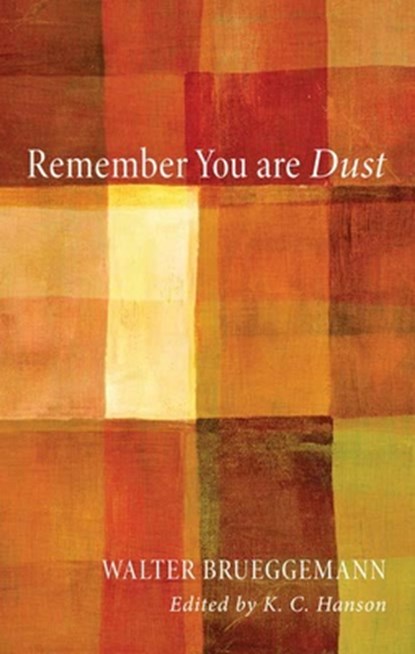 Remember You Are Dust, Walter Brueggemann - Paperback - 9781610975353