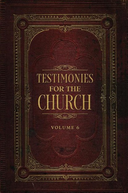 Testimonies for the Church Volume 6, Ellen G. White - Paperback - 9781611041514