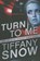 Turn to Me, Tiffany Snow - Paperback - 9781611099621