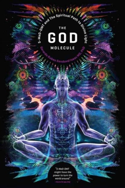 The God Molecule, Mr Gerado Ruben Sandoval Isaac - Paperback - 9781611250497