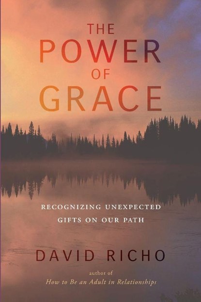 The Power of Grace, David Richo - Paperback - 9781611801460