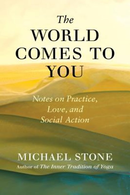 The World Comes to You, Michael Stone - Paperback - 9781611806113
