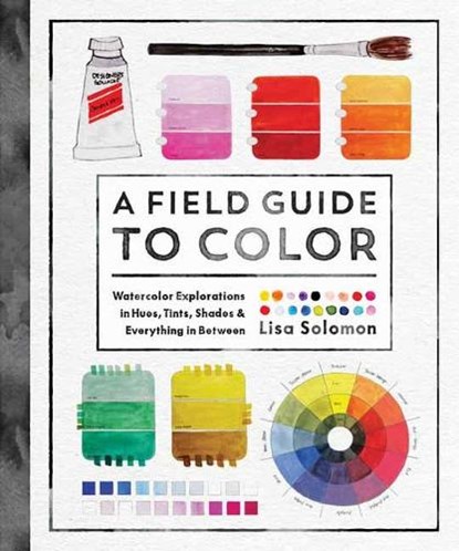 A Field Guide to Color, Lisa Solomon - Paperback - 9781611806120