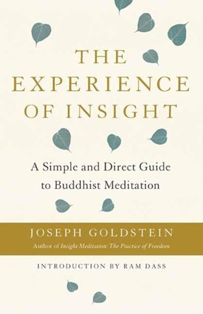 The Experience of Insight, Joseph Goldstein - Paperback - 9781611808162