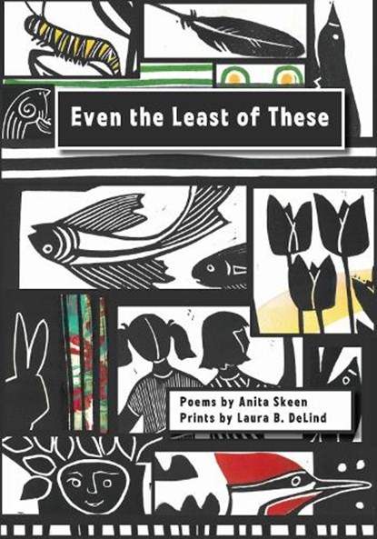 Even the Least of These, Anita Skeen - Paperback - 9781611864915