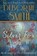 The Silver Fox, SMITH,  Deborah - Paperback - 9781611947694