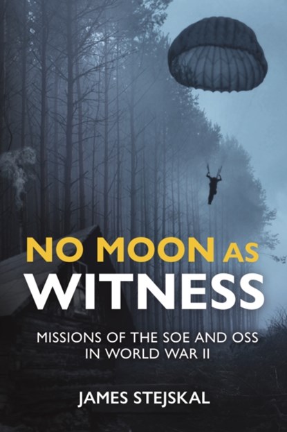 No Moon as Witness, James Stejskal - Gebonden - 9781612009520